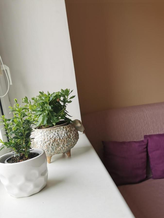 Central Apartments Karolina Druskininkai Bagian luar foto
